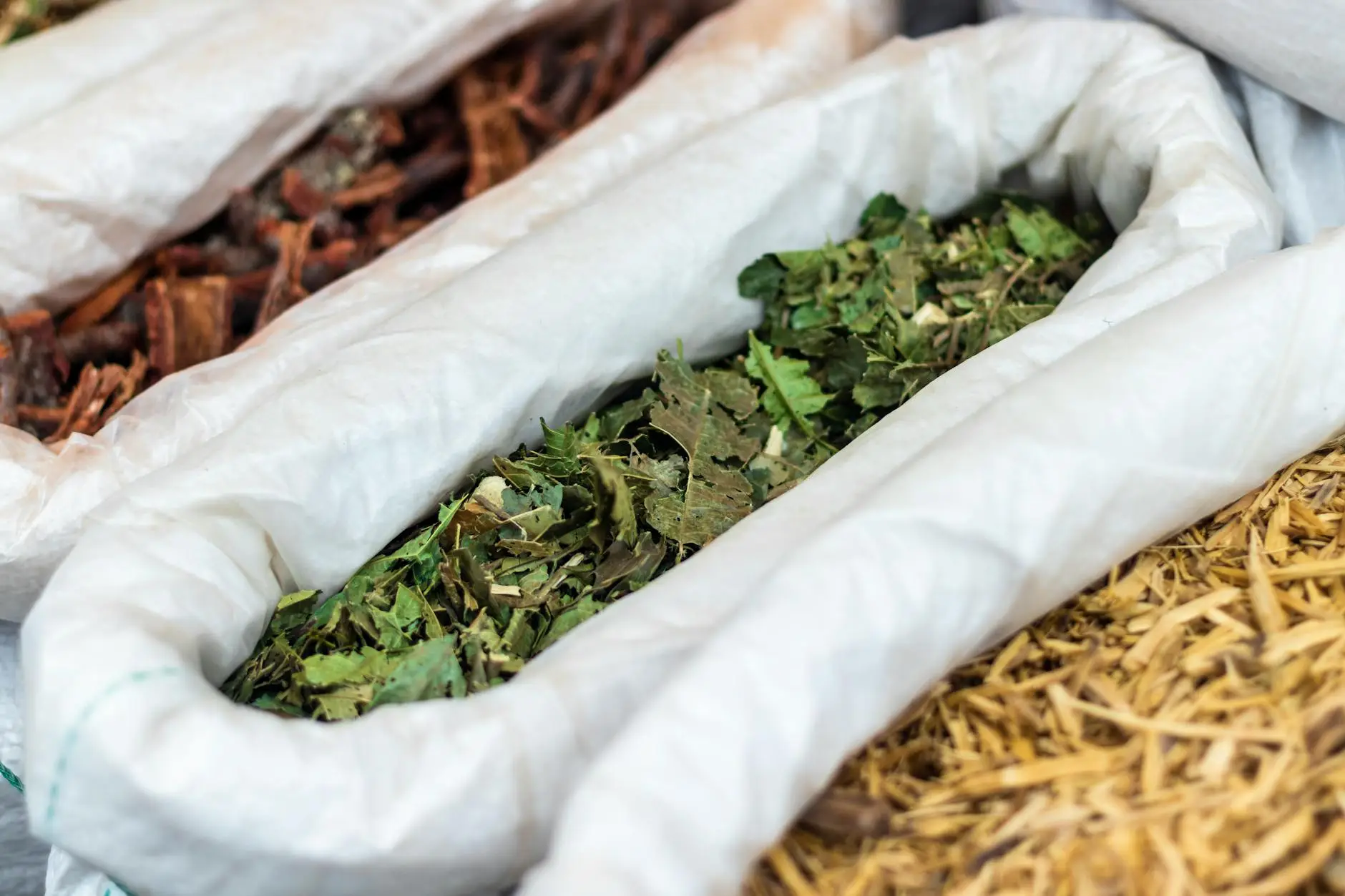 Minyak herbal tradisional kaya akan kandungan antioksidan alami yang membantu melindungi tubuh dari kerusakan akibat radikal bebas dan meningkatkan kesehatan secara keseluruhan.