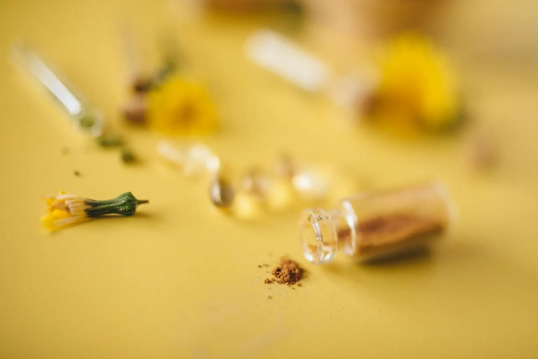 Gambar ilustrasi suplemen herbal alami yang membantu meningkatkan kekebalan tubuh dan melindungi dari serangan penyakit di musim pancaroba dengan kombinasi tanaman obat tradisional