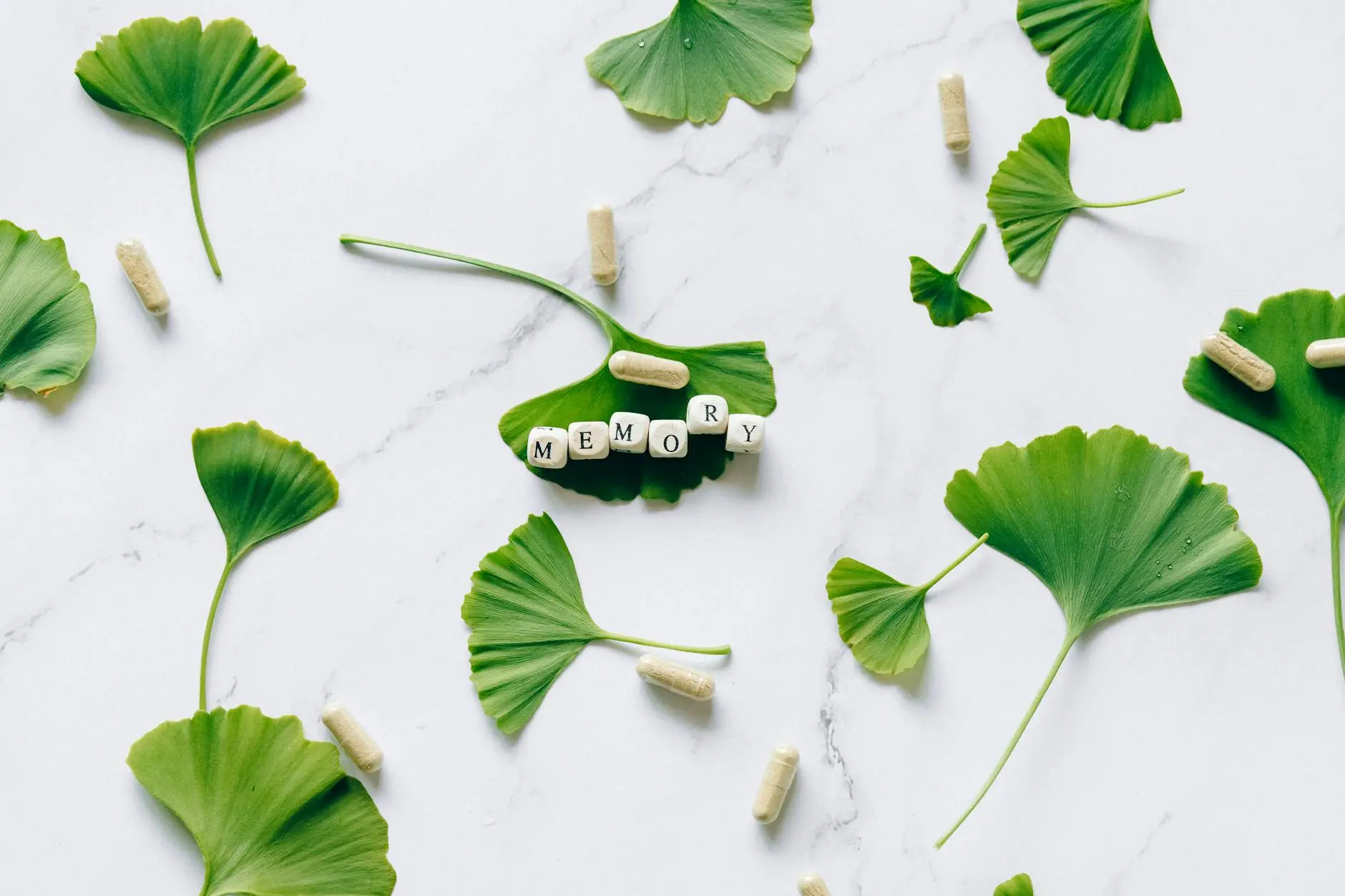 Gambar ilustrasi nutrisi herbal alami yang membantu penguatan sistem imun tubuh pada musim pancaroba dengan berbagai jenis tanaman obat yang kaya akan antioksidan dan vitamin