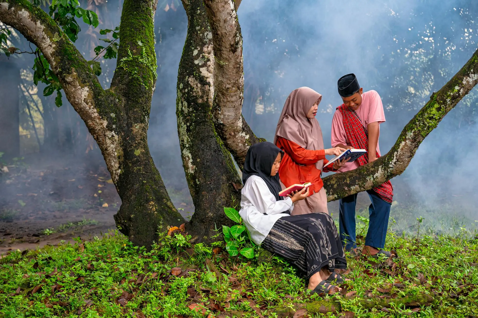 Harga minyak kutus kutus original 2026 terjangkau, solusi alami untuk kesehatan.
